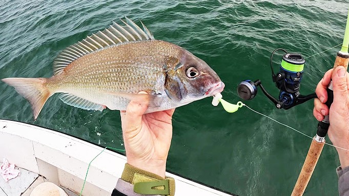 best baits for porgy fishing
