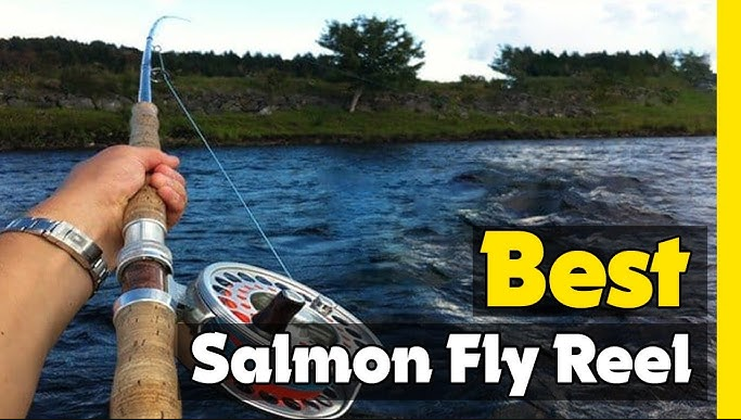 best reels for salmon fishing